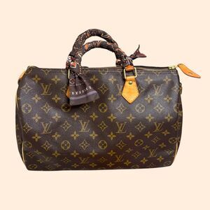 Louis Vuitton Speedy 35 Monogram Handbag